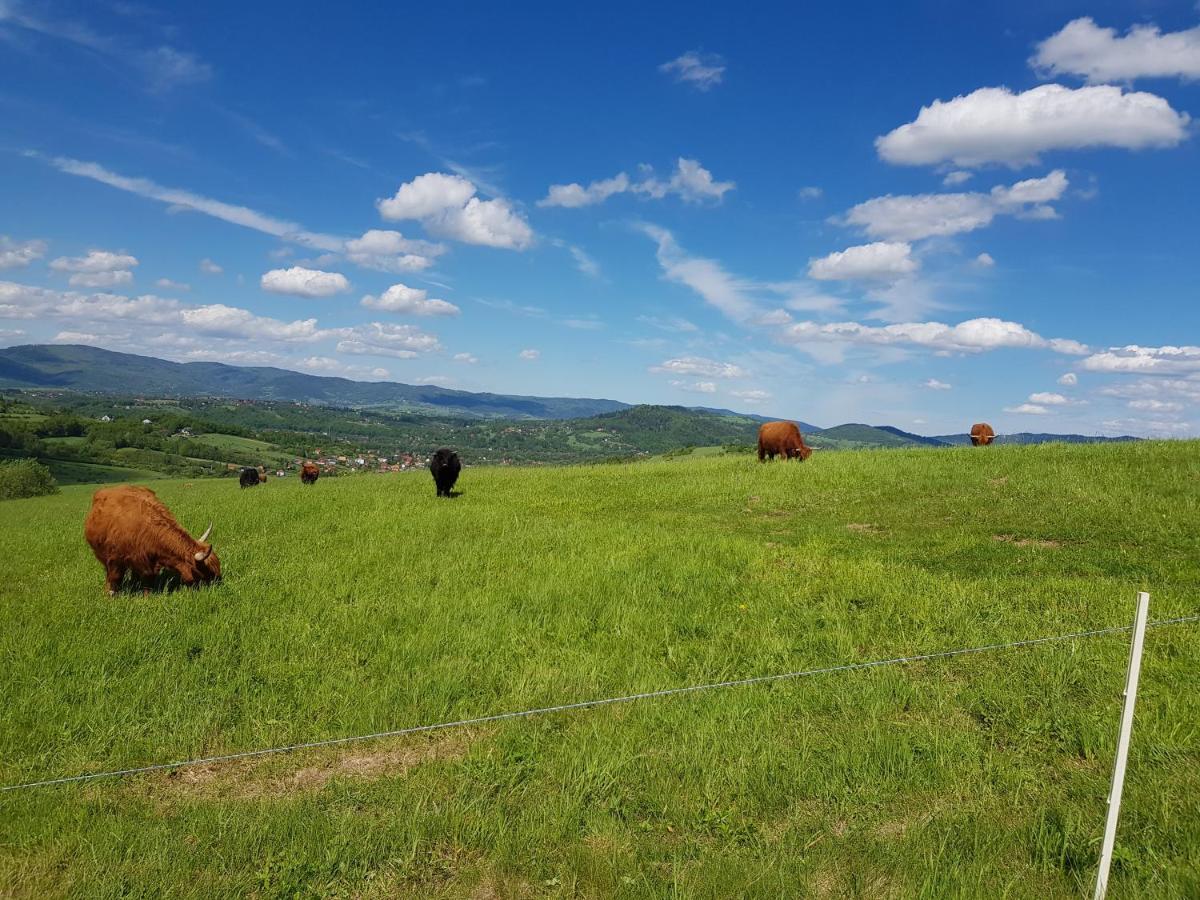 Grojcowka Villa Żywiec Buitenkant foto