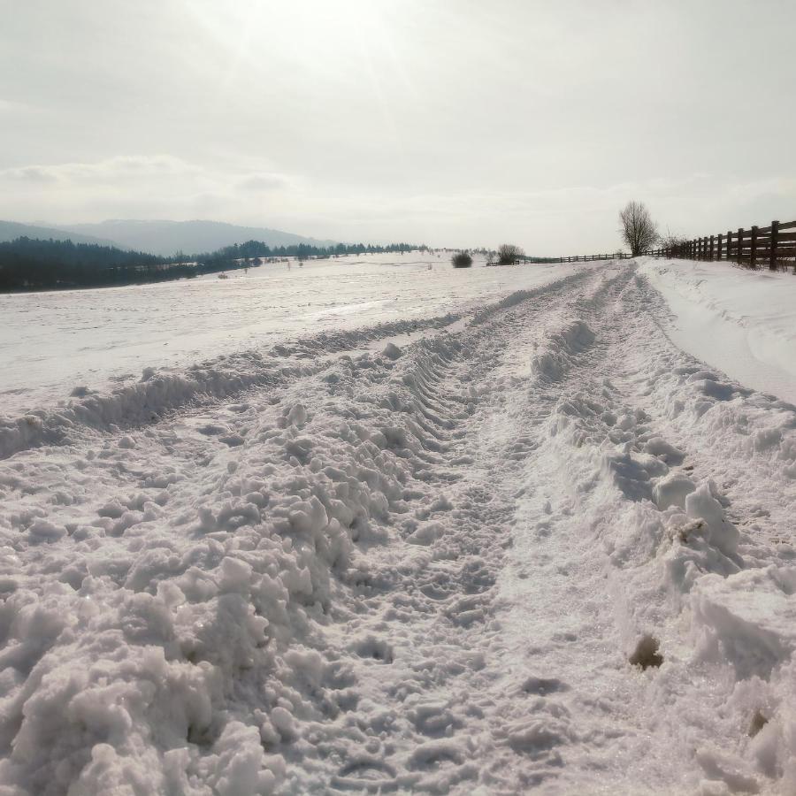 Grojcowka Villa Żywiec Buitenkant foto